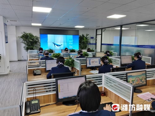 濰坊人注意！月底前記得這件事——信息咨詢服務費繳費指南